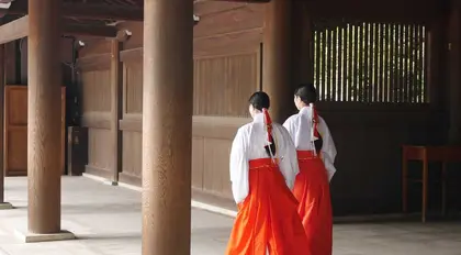 Ise Grand Shrine | Japan Experience